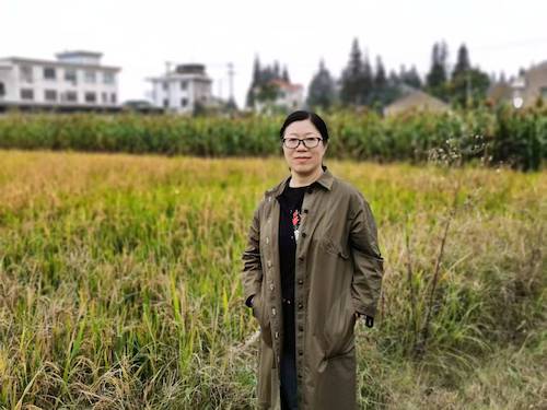 罗建英